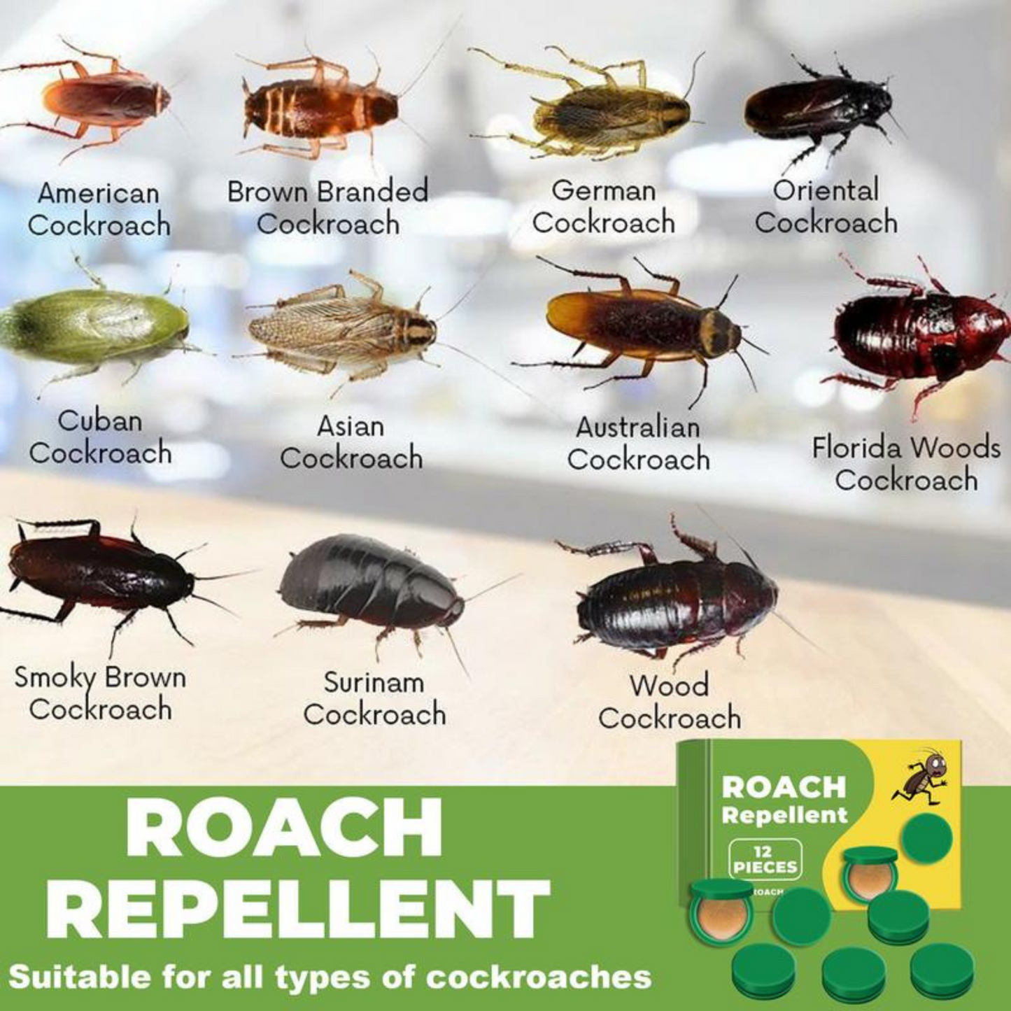 Cockroach Control Bait Killing Gel ( BUY 1 GET 1 FREE )