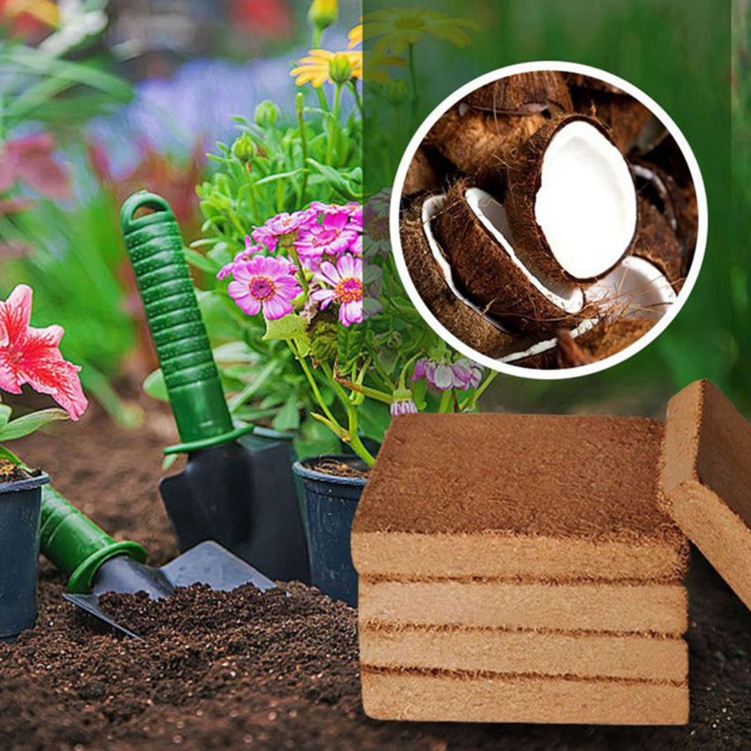 Organic Coconut Coir for Plants