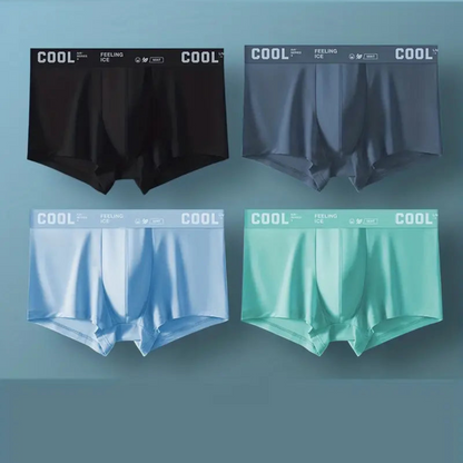 Men's Ice Silk Briefs Boxers (Pack of 5)