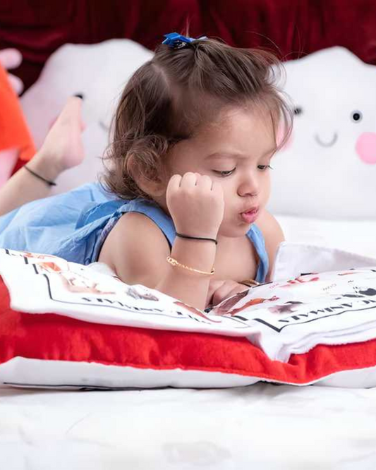 Baby Learning Cushion Pillow Book